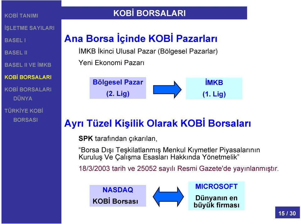 Lig) Ayrı Tüzel Kişilik Olarak KOBİ Borsaları SPK tarafından çıkarılan, Borsa Dışı Teşkilatlanmış Menkul