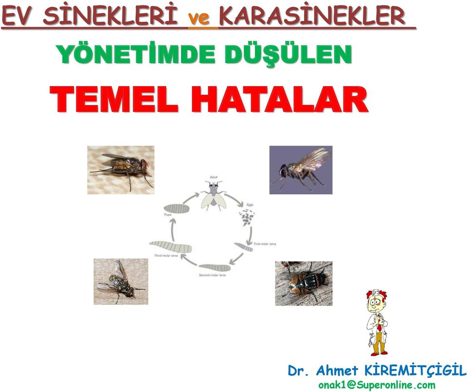 DÜŞÜLEN TEMEL HATALAR Dr.