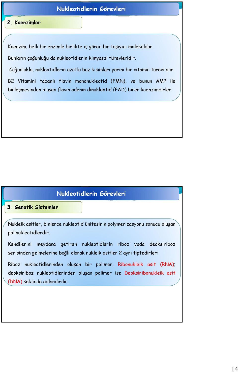 B2 Vitamini tabanlı flavin mononukleotid (FMN), ve bunun AMP ile birleşmesinden oluşan flavin adenin dinukleotid (FAD) birer koenzimdirler. 3.