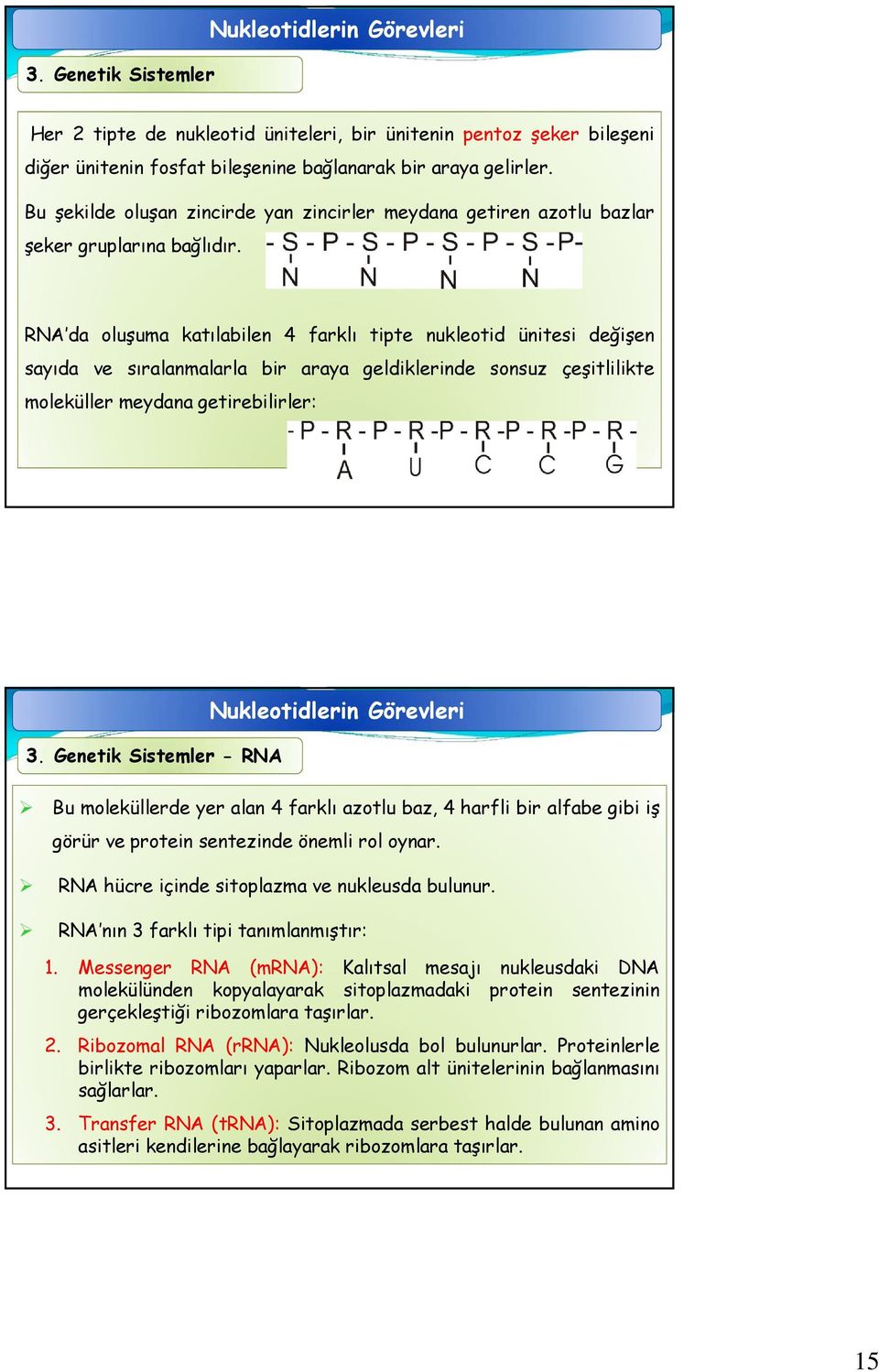 RNA da oluşuma katılabilen 4 farklı tipte nukleotid ünitesi değişen sayıda ve sıralanmalarla bir araya geldiklerinde sonsuz çeşitlilikte moleküller meydana getirebilirler: 3.