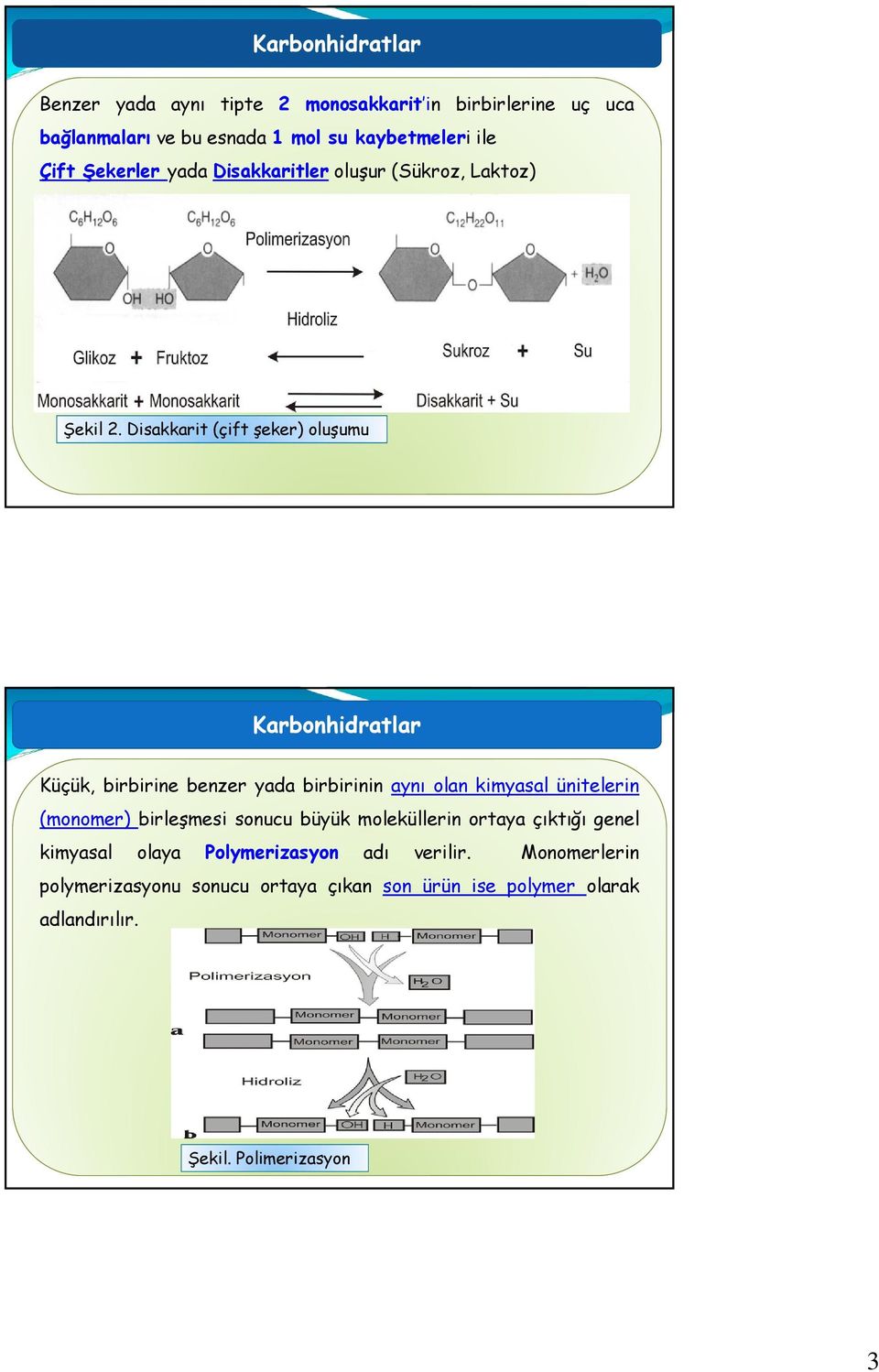 Disakkarit (çift şeker) oluşumu Karbonhidratlar Küçük, birbirine benzer yada birbirinin aynı olan kimyasal ünitelerin (monomer)