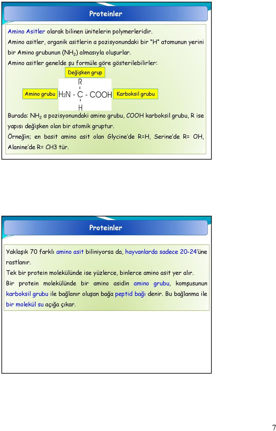 değişkenolanbiratomikgruptur. Örneğin; en basit amino asit olan Glycine de R=H, Serine de R= OH, Alanine de R= CH3 tür.