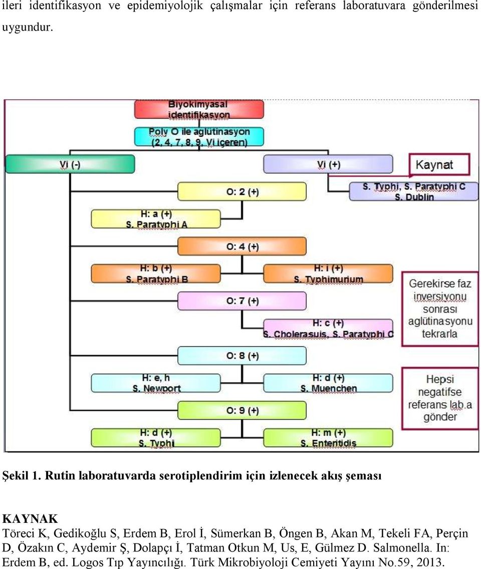 İ, Sümerkan B, Öngen B, Akan M, Tekeli FA, Perçin D, Özakın C, Aydemir Ş, Dolapçı İ, Tatman Otkun M, Us, E,