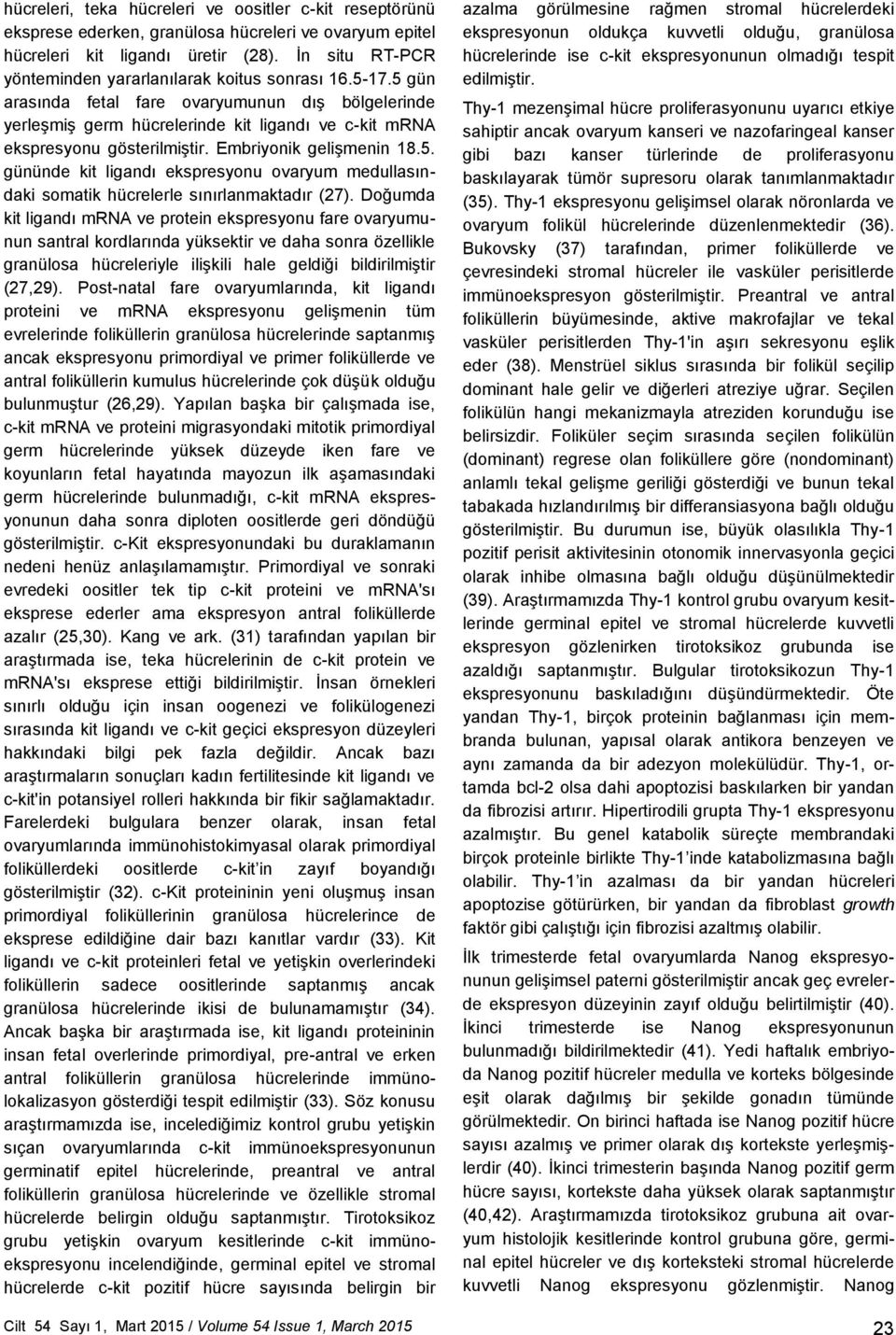 5 gün arasında fetal fare ovaryumunun dış bölgelerinde yerleşmiş germ hücrelerinde kit ligandı ve c-kit mrna ekspresyonu gösterilmiştir. Embriyonik gelişmenin 18.5. gününde kit ligandı ekspresyonu ovaryum medullasındaki somatik hücrelerle sınırlanmaktadır (27).