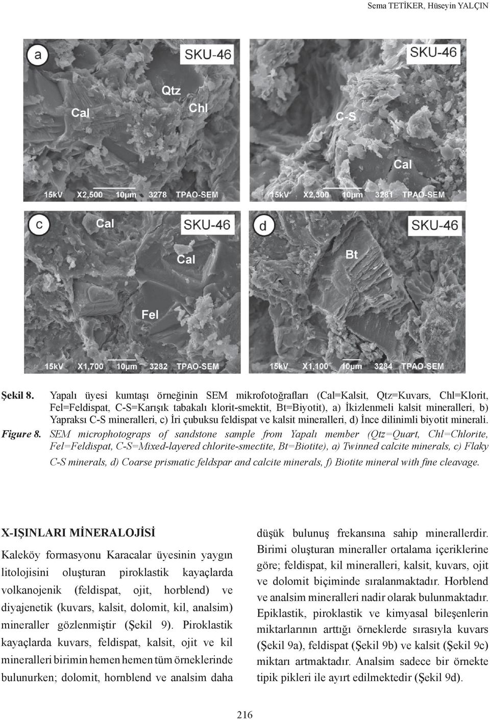 Yapraksı C-S mineralleri, c) İri çubuksu feldispat ve kalsit mineralleri, d) İnce dilinimli biyotit minerali. Figure 8.