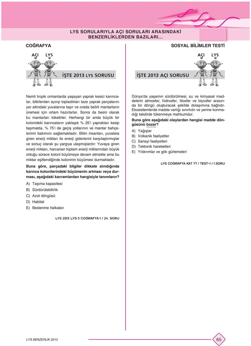 Herhangi bir anda büyük bir kolonideki karıncaların yaklaşık % 25 i yaprakları kesip taşımakta, % 75 i de geçiş yollarının ve mantar bahçelerinin bakımını sağlamaktadır.