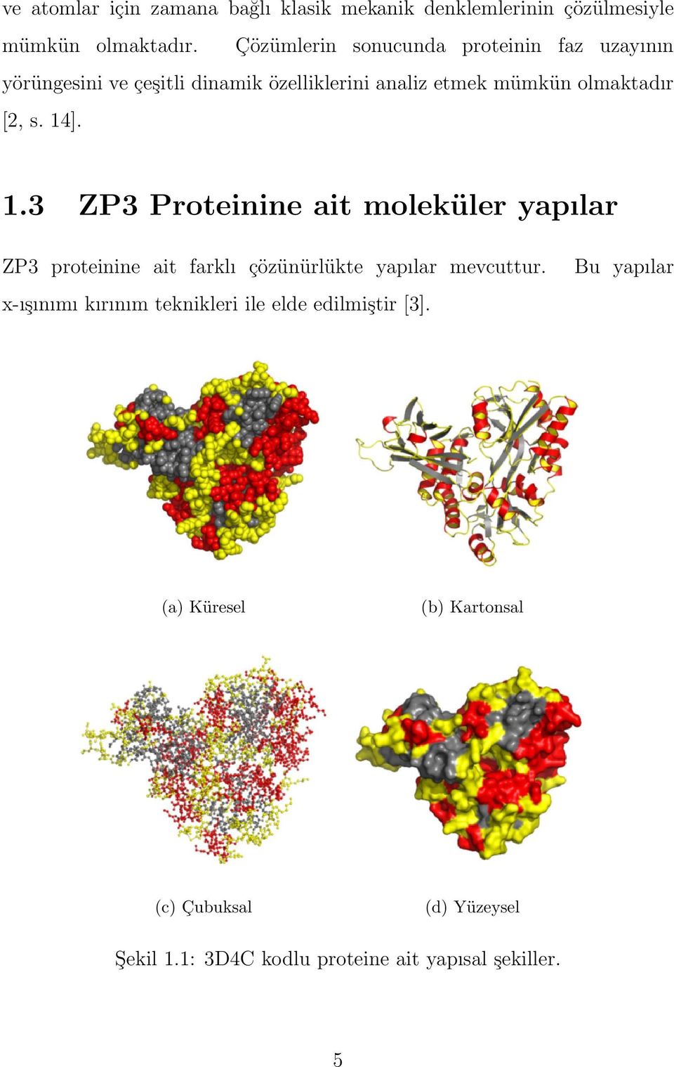 s. 14]. 1.3 ZP3 Proteinine ait moleküler yapılar ZP3 proteinine ait farklı çözünürlükte yapılar mevcuttur.