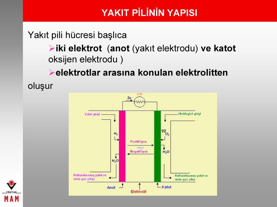 elektrodu) ve katot oksijen elektrodu )