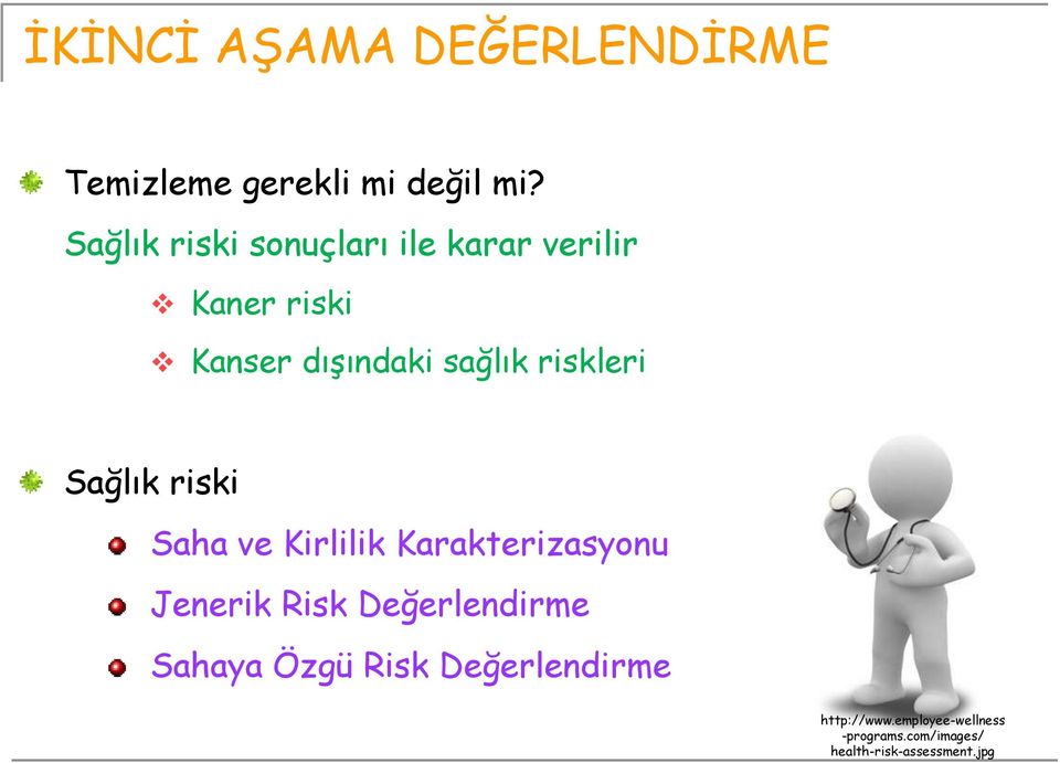 riskleri Sağlık riski Saha ve Kirlilik Karakterizasyonu Jenerik Risk