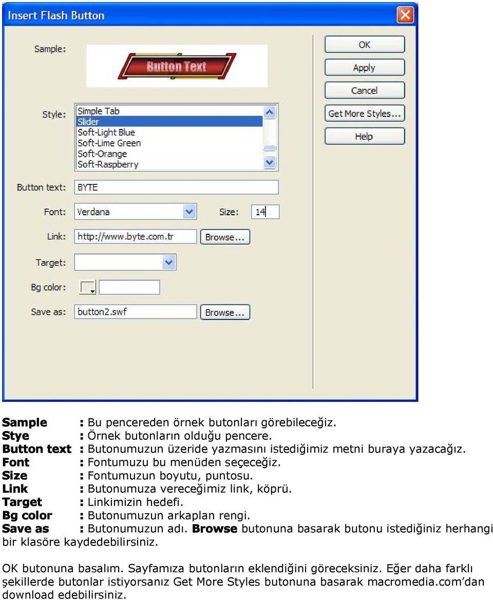 Link : Butnumuza vereceğimiz link, köprü. Target : Linkimizin hedefi. Bg clr : Butnumuzun arkaplan rengi. Save as : Butnumuzun adı.