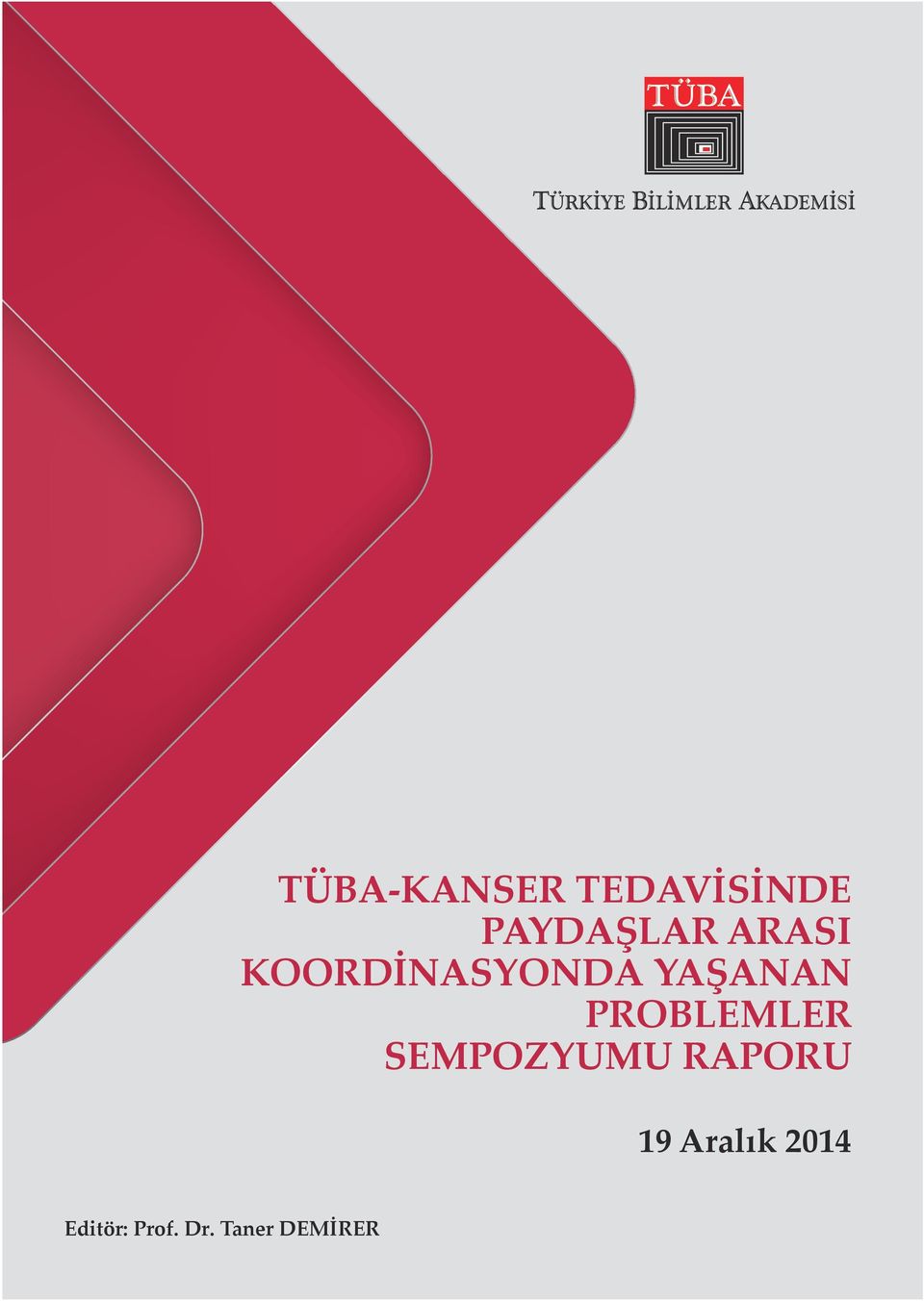 Akademi çalışmalarını, başta üyeleri olmak üzere, bilim topluluğunun gönüllü katılım ve katkılarıyla yürütmektedir. TÜBA 20 yıl boyunca, amaçları doğrultusunda çeşitli faaliyetler gerçekleştirmiştir.