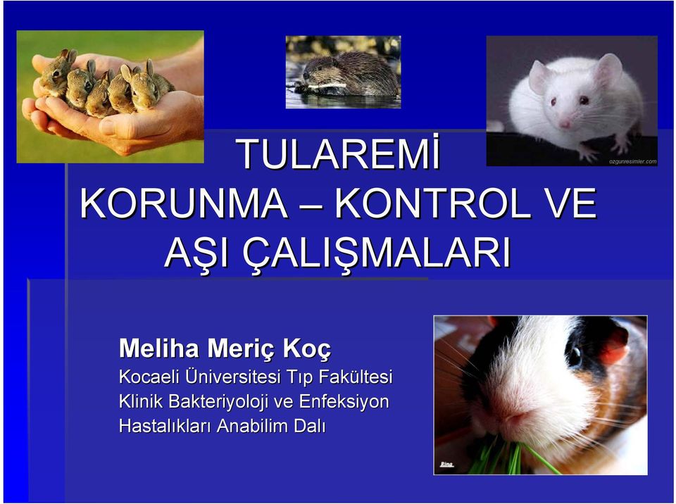 Üniversitesi Tıp T p Fakültesi Klinik