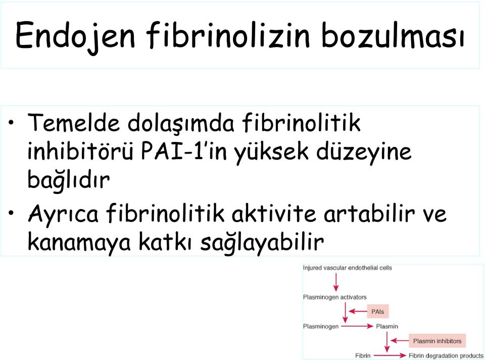 yüksek düzeyine bağlıdır Ayrıca