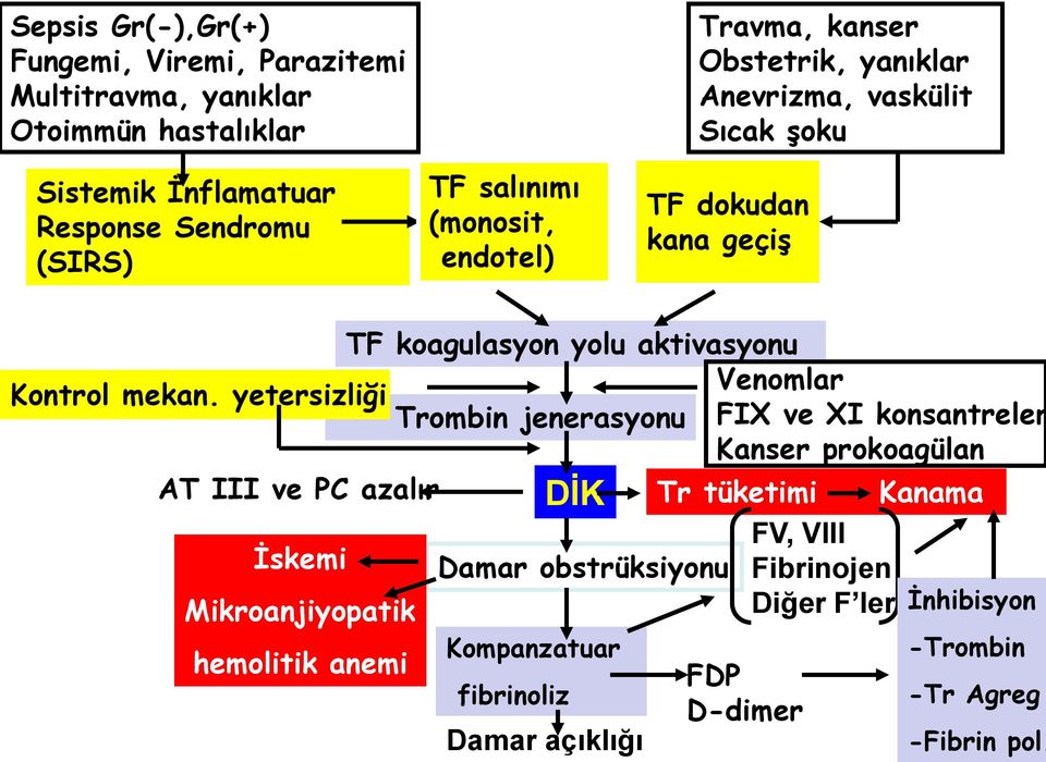 Kontrol mekan.