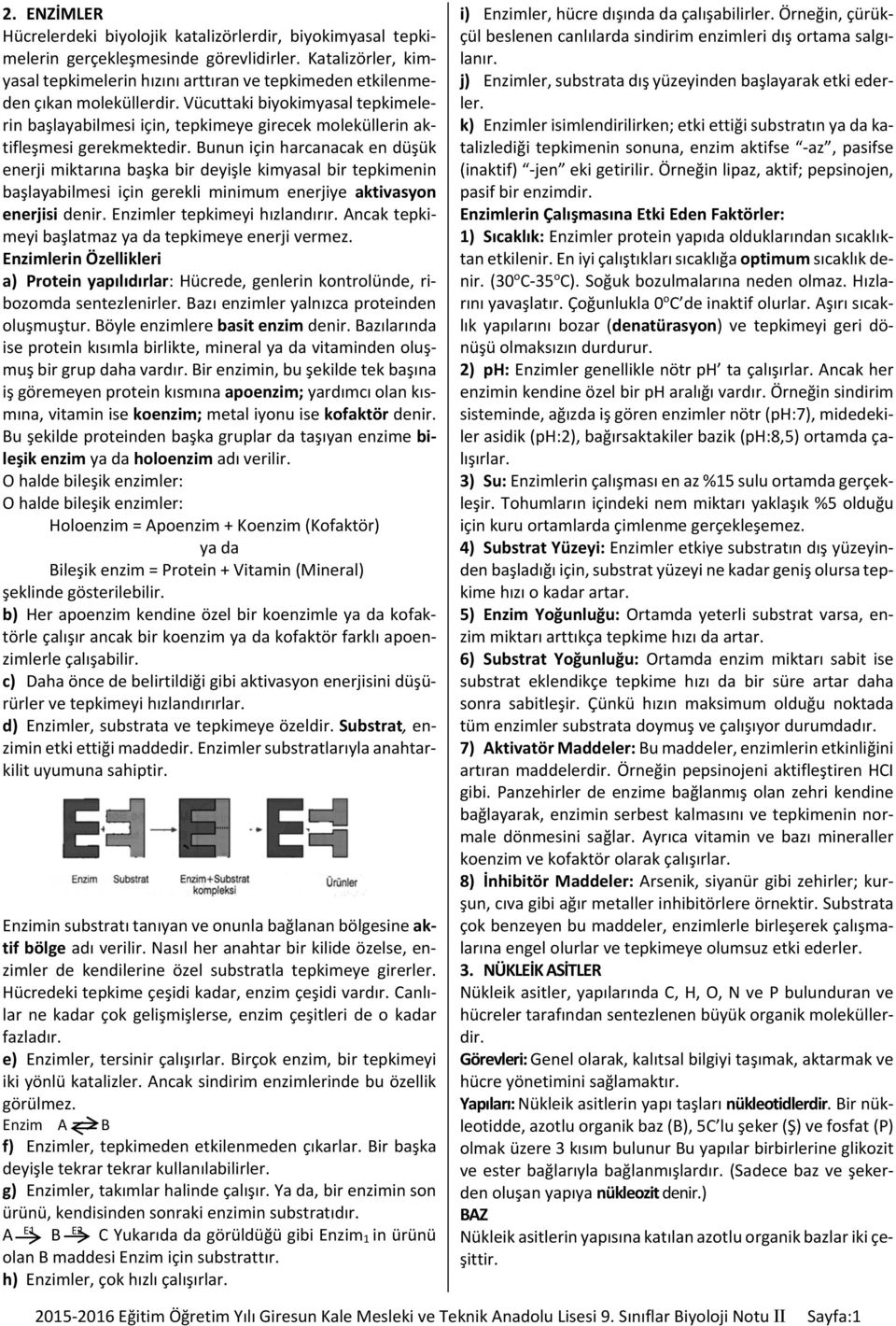 Vücuttaki biyokimyasal tepkimelerin başlayabilmesi için, tepkimeye girecek moleküllerin aktifleşmesi gerekmektedir.