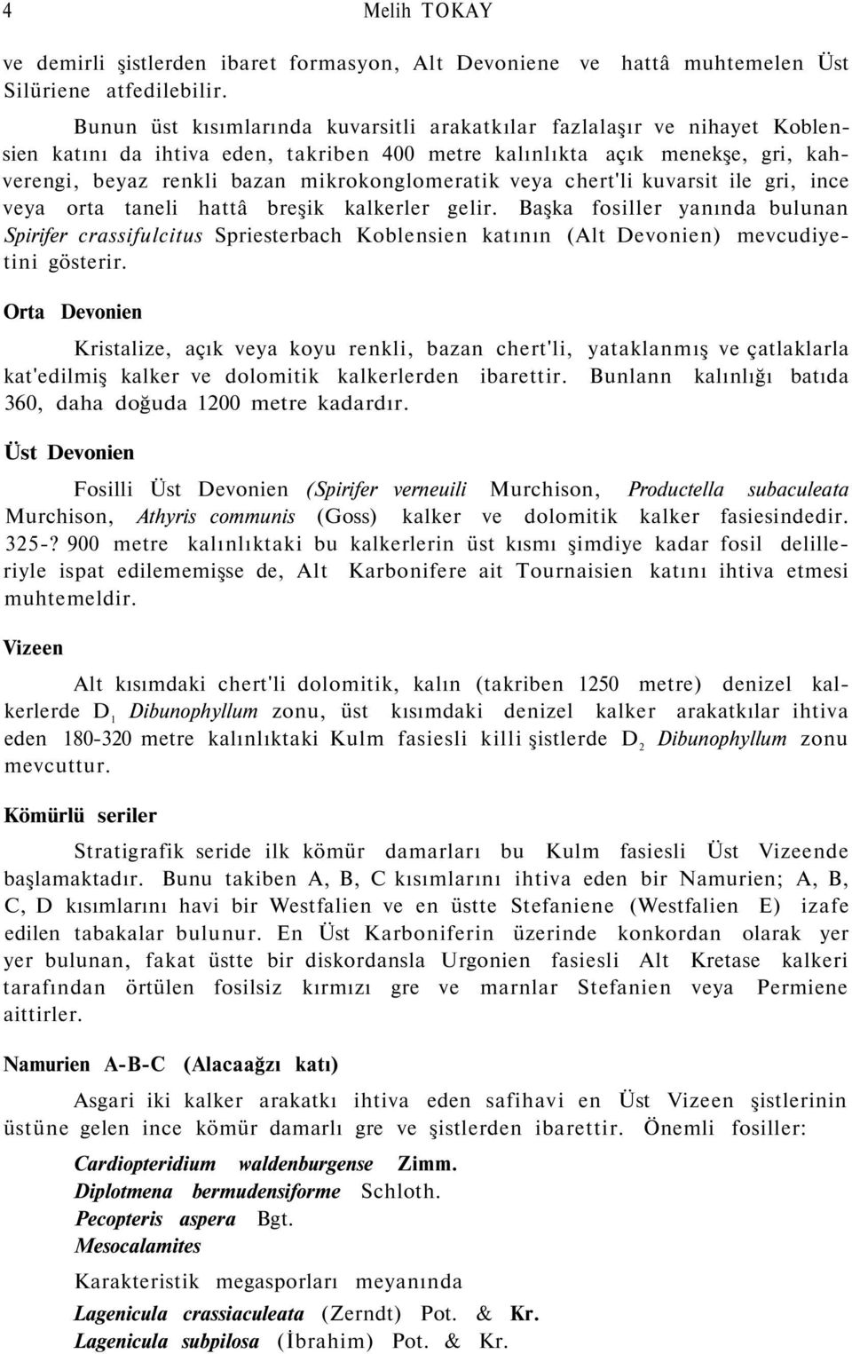 mikrokonglomeratik veya chert'li kuvarsit ile gri, ince veya orta taneli hattâ breşik kalkerler gelir.