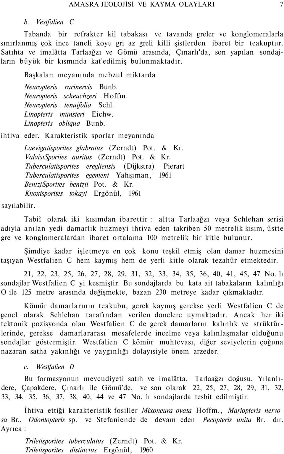 Başkaları meyanında mebzul miktarda Neuropteris rarinervis Bunb. Neuropteris scheuchzeri Hoffm. Neuropteris tenuifolia Schl. Linopteris münsteri Eichw. Linopteris obliqua Bunb. ihtiva eder.