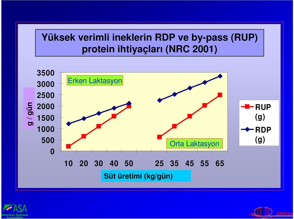 gün 3500 3000 2500 2000 1500 1000 500 0 Erken Laktasyon Orta Laktasyon RUP (g)