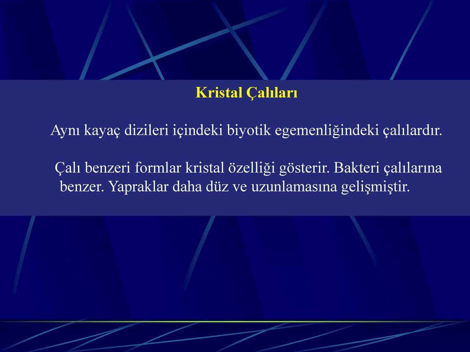 Çalı benzeri formlar kristal özelliği gösterir.