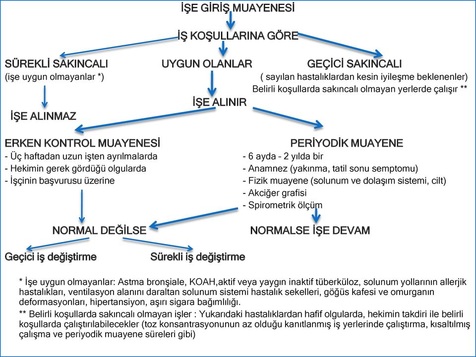 (yakınma, tatil sonu semptomu) - ĠĢçinin baģvurusu üzerine - Fizik muayene (solunum ve dolaģım sistemi, cilt) - Akciğer grafisi - Spirometrik ölçüm NORMAL DEĞĠLSE NORMALSE ĠġE DEVAM Geçici iģ