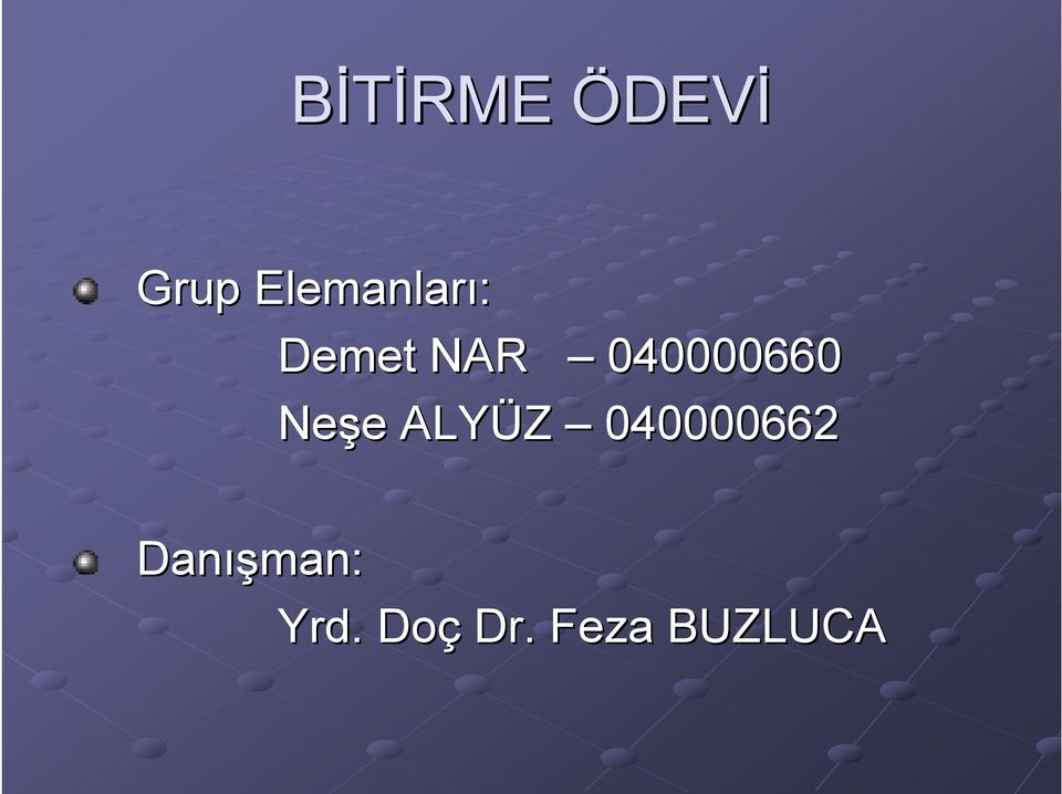 040000660 Neşe e ALYÜZ