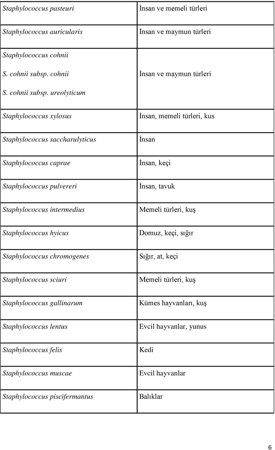 ureolyticum Staphylococcus xylosus İnsan, memeli türleri, kus Staphylococcus saccharulyticus İnsan Staphylococcus caprae İnsan, keçi Staphylococcus pulvereri İnsan, tavuk