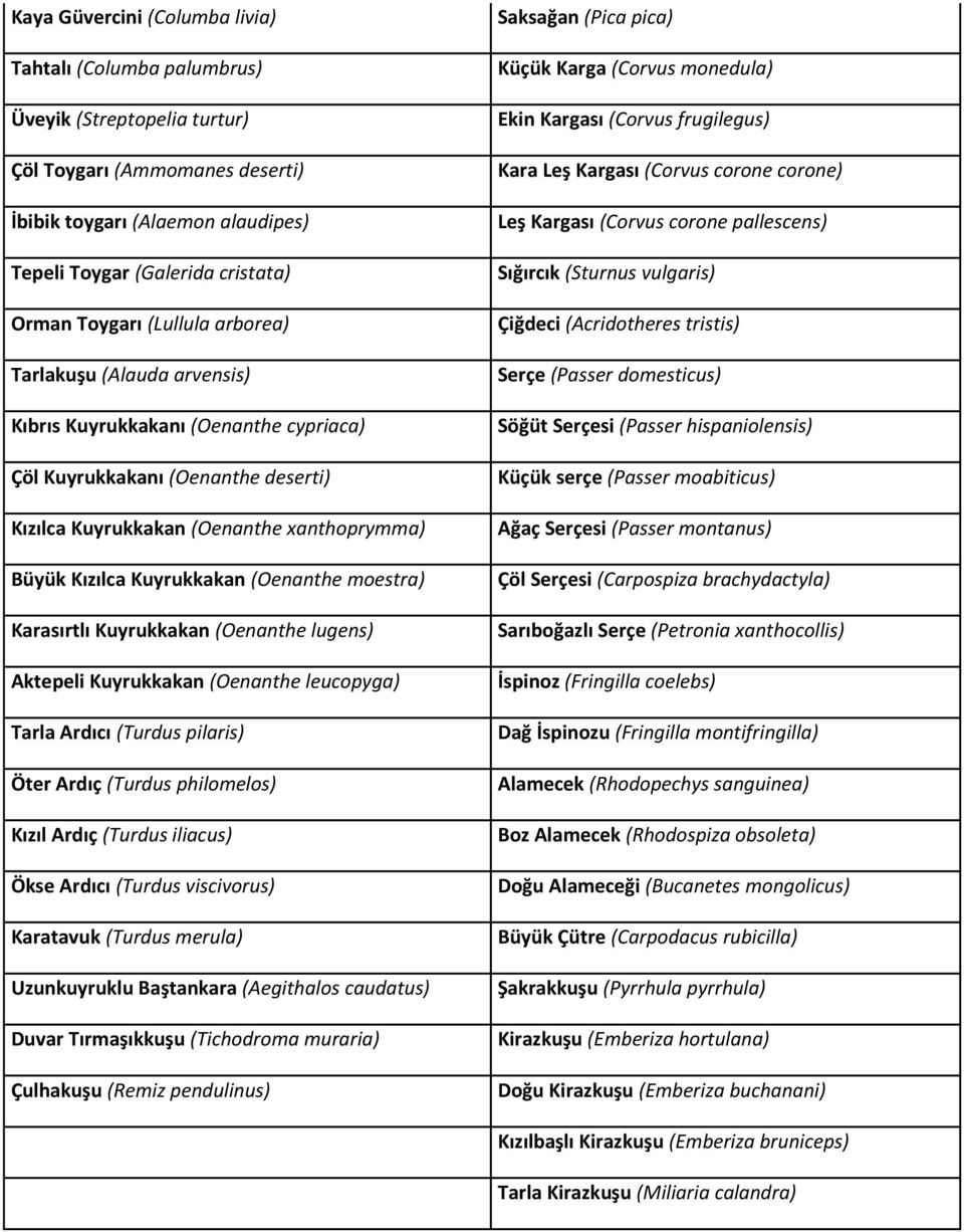(Oenanthe moestra) Karasırtlı Kuyrukkakan (Oenanthe lugens) Aktepeli Kuyrukkakan (Oenanthe leucopyga) Tarla Ardıcı (Turdus pilaris) Öter Ardıç (Turdus philomelos) Kızıl Ardıç (Turdus iliacus) Ökse