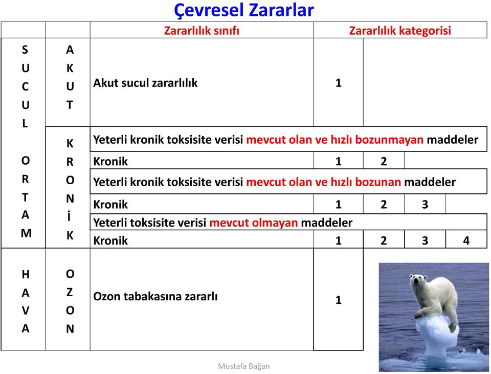 bozunmayan maddeler Kronik 1 2 Yeterli kronik toksisite verisi mevcut olan ve hızlı bozunan