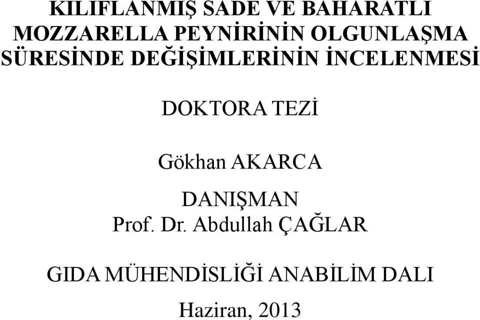 DOKTORA TEZİ Gökhan AKARCA DANIŞMAN Prof. Dr.