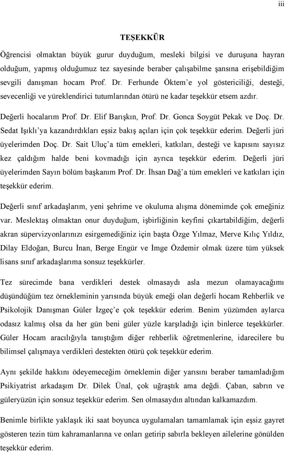 Dr. Sedat Işıklı ya kazandırdıkları eşsiz bakış açıları için çok teşekkür ederim. Değerli jüri üyelerimden Doç. Dr.