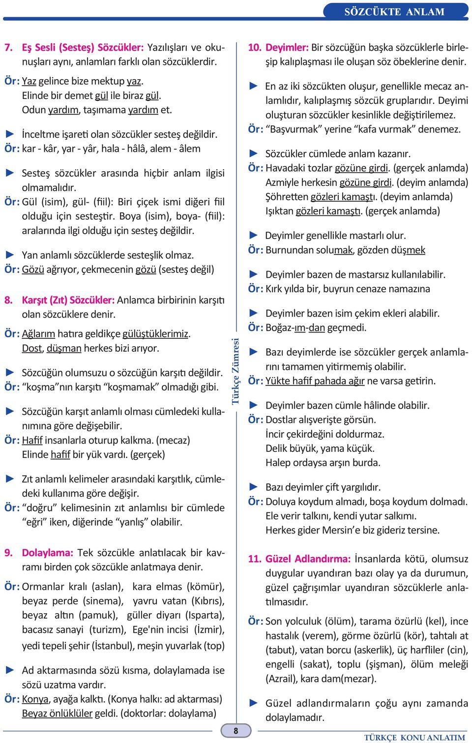 Ör: Gül (isim), gül- (fiil): Biri çiçek ismi diğeri fiil olduğu için sesteştir. Boya (isim), boya- (fiil): aralarında ilgi olduğu için sesteş değildir. Yan anlamlı sözcüklerde sesteşlik olmaz.