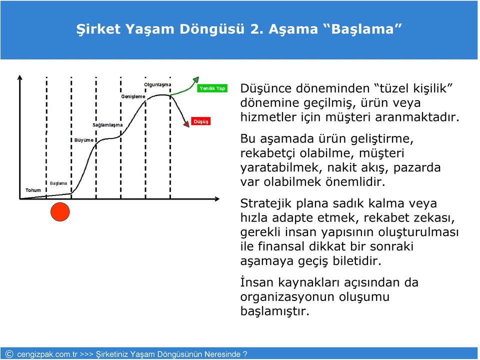 Bu aşamada ürün geliştirme, rekabetçi olabilme, müşteri yaratabilmek, nakit akış, pazarda var olabilmek önemlidir.