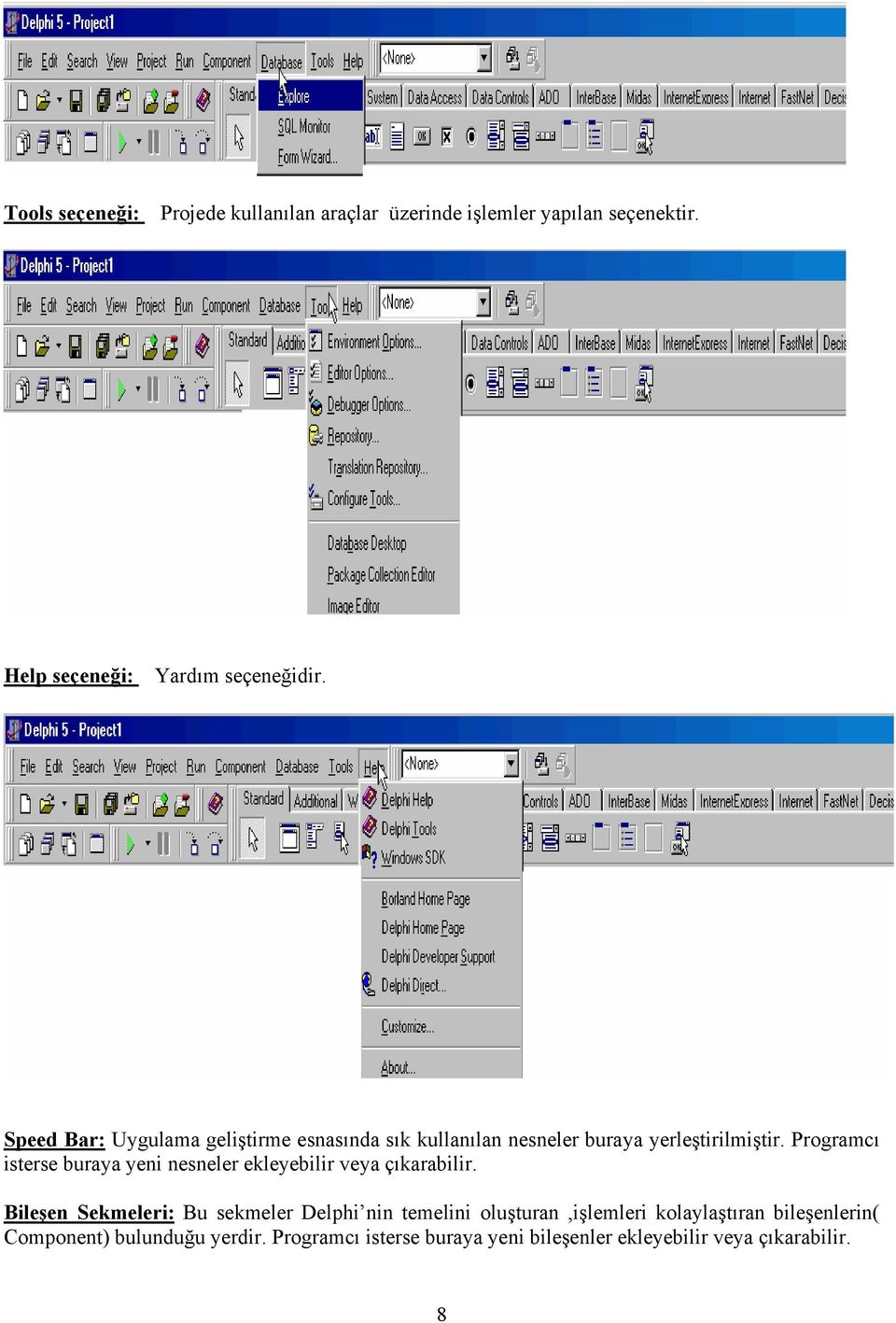 Programcı isterse buraya yeni nesneler ekleyebilir veya çıkarabilir.