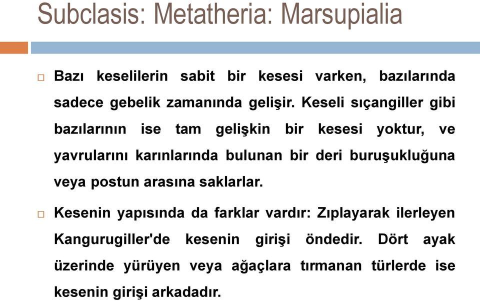 Keseli sıçangiller gibi bazılarının ise tam gelişkin bir kesesi yoktur, ve yavrularını karınlarında bulunan bir deri