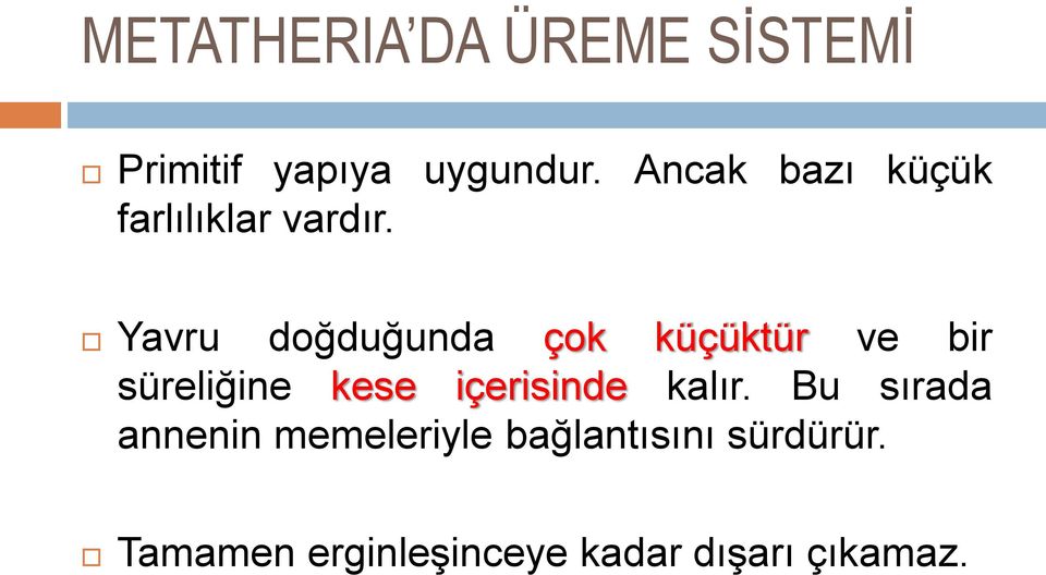 Yavru doğduğunda çok küçüktür ve bir süreliğine kese içerisinde