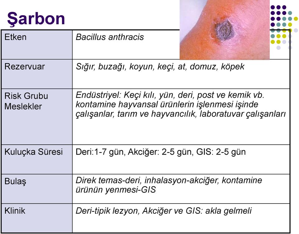 kontamine hayvansal ürünlerin işlenmesi işinde çalışanlar, tarım ve hayvancılık, laboratuvar çalışanları Kuluçka