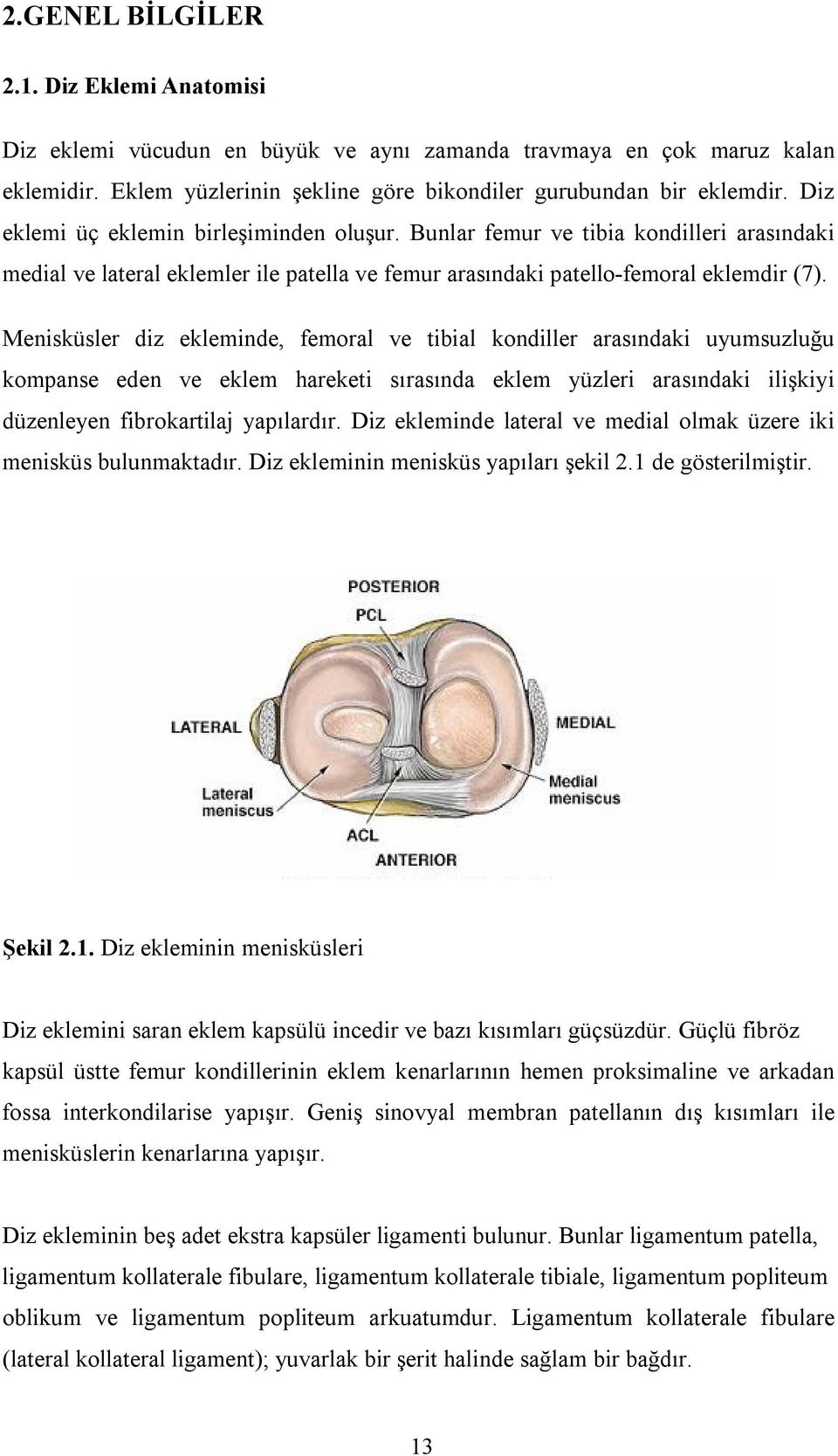 Menisküsler diz ekleminde, femoral ve tibial kondiller arasındaki uyumsuzluğu kompanse eden ve eklem hareketi sırasında eklem yüzleri arasındaki ilişkiyi düzenleyen fibrokartilaj yapılardır.