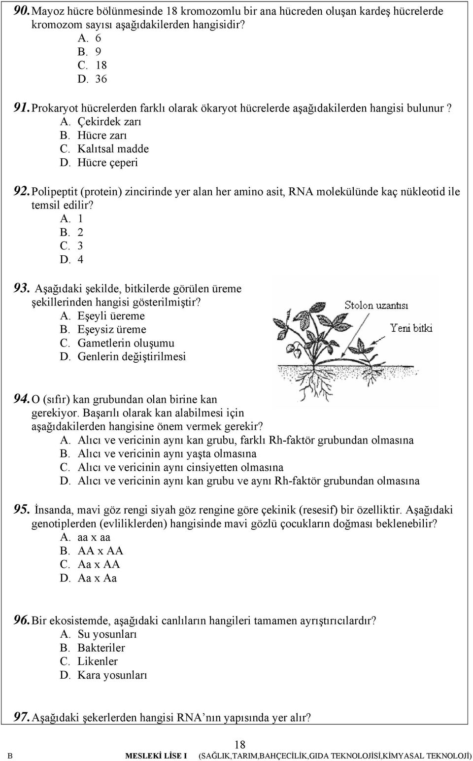 Polipeptit (protein) zincirinde yer alan her amino asit, RNA molekülünde kaç nükleotid ile temsil edilir? A. B. C. 3 D. 4 93.