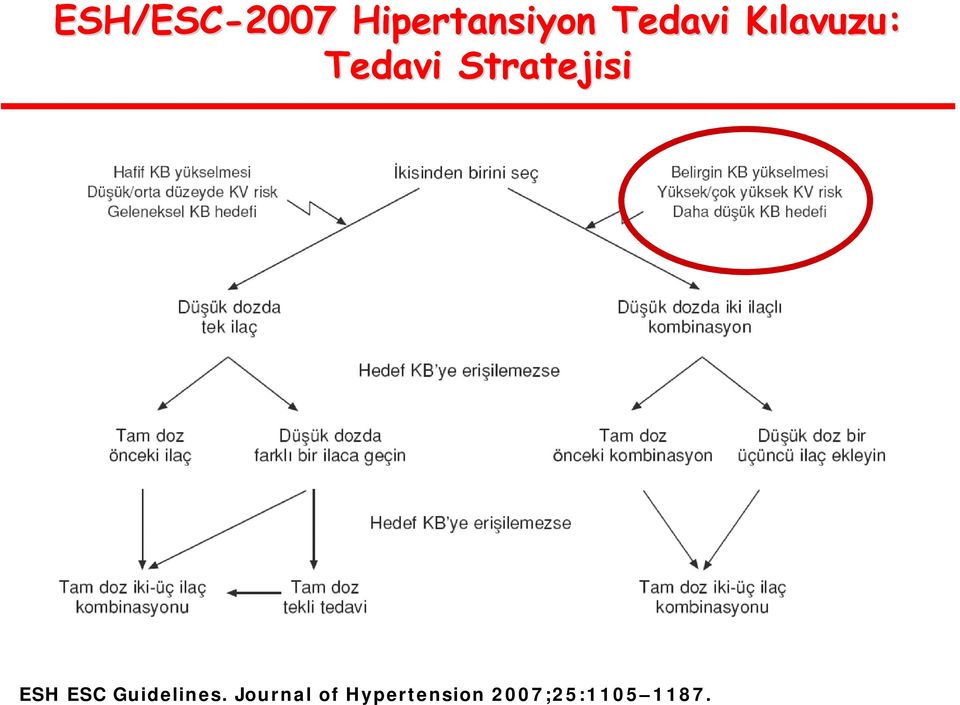 Stratejisi ESH ESC Guidelines.