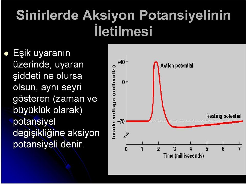 seyri gösteren (zaman ve büyüklük olarak)