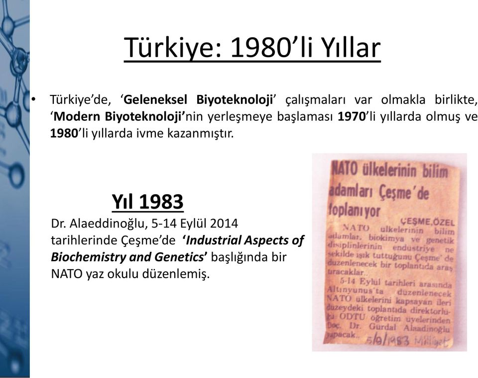 li yıllarda ivme kazanmıştır. Yıl 1983 Dr.