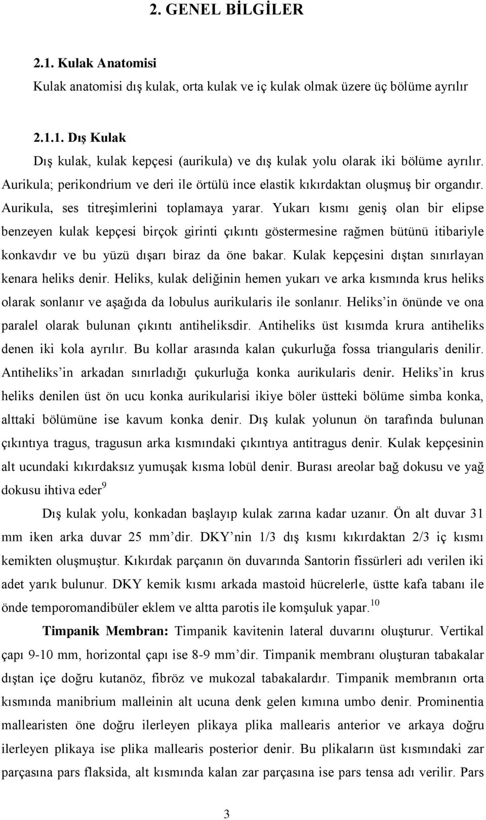 Yukarı kısmı geniş olan bir elipse benzeyen kulak kepçesi birçok girinti çıkıntı göstermesine rağmen bütünü itibariyle konkavdır ve bu yüzü dışarı biraz da öne bakar.