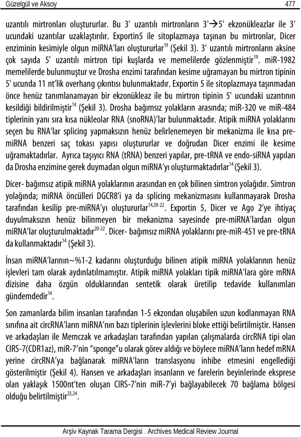 3' uzantılı mirtronların aksine çok sayıda 5' uzantılı mirtron tipi kuşlarda ve memelilerde gözlenmiştir 19.