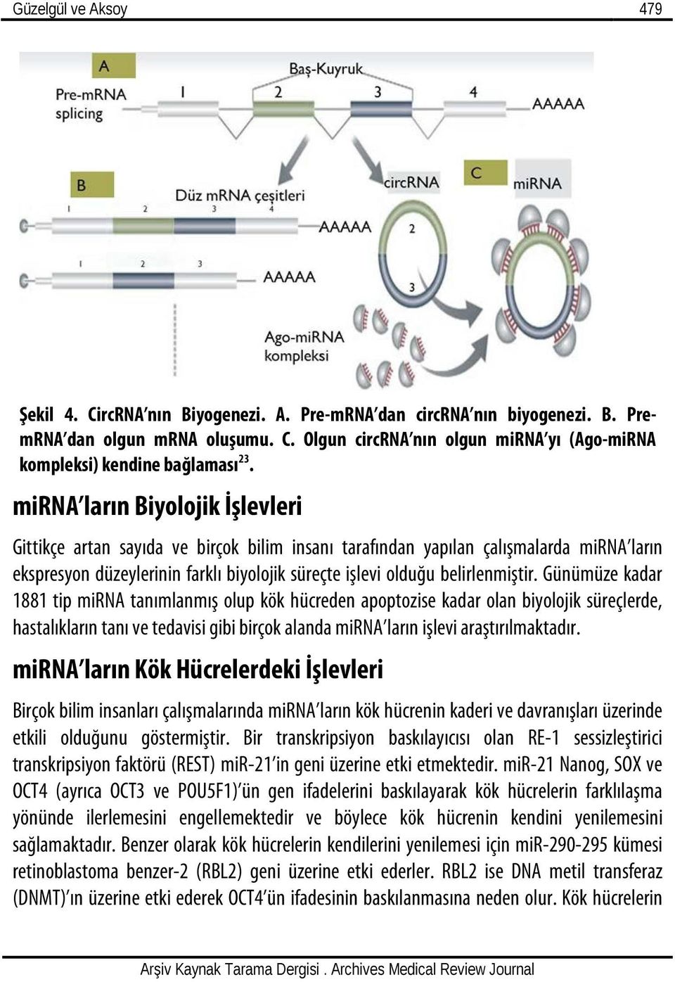 Günümüze kadar 1881 tip mirna tanımlanmış olup kök hücreden apoptozise kadar olan biyolojik süreçlerde, hastalıkların tanı ve tedavisi gibi birçok alanda mirna ların işlevi araştırılmaktadır.