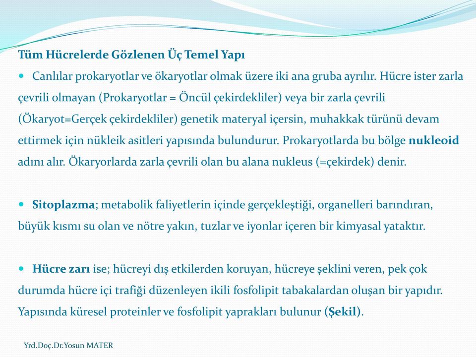 asitleri yapısında bulundurur. Prokaryotlarda bu bölge nukleoid adını alır. Ökaryorlarda zarla çevrili olan bu alana nukleus (=çekirdek) denir.