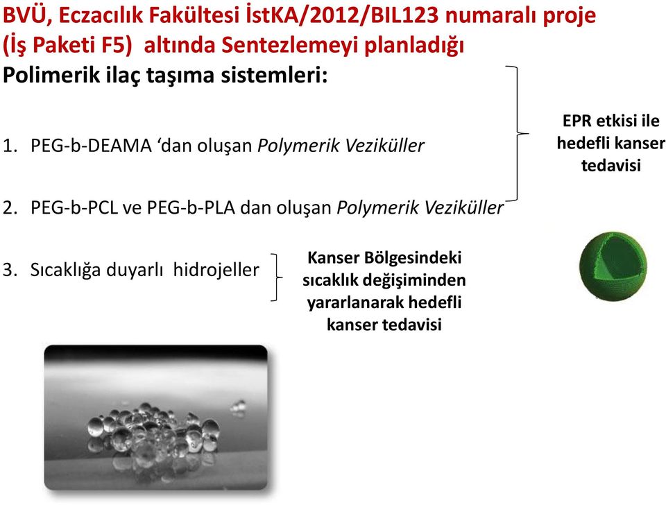 PEG-b-DEAMA dan oluşan Polymerik Veziküller EPR etkisi ile hedefli kanser tedavisi 2.