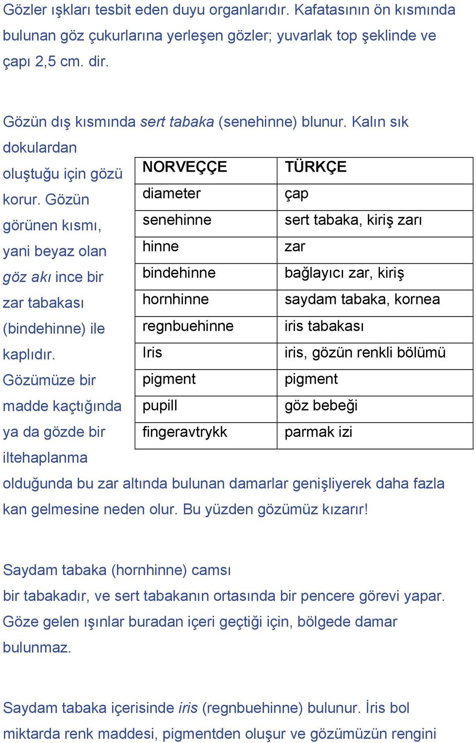 Gözün görünen kısmı, yani beyaz olan NORVEÇÇE diameter senehinne hinne TÜRKÇE çap sert tabaka, kiriş zarı zar göz akı ince bir zar tabakası (bindehinne) ile kaplıdır.