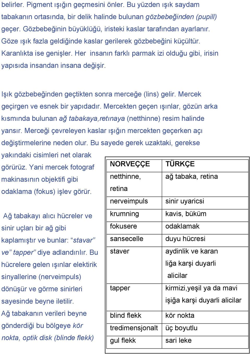 Her insanın farklı parmak izi olduğu gibi, irisin yapısıda insandan insana değişir. Işık gözbebeğinden geçtikten sonra merceğe (lins) gelir. Mercek geçirgen ve esnek bir yapıdadır.