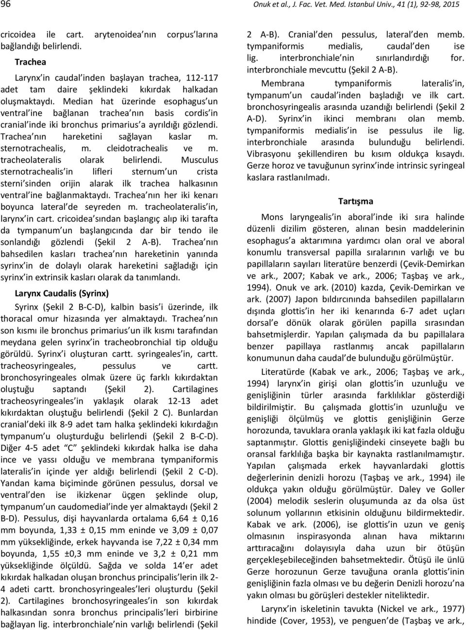 Median hat üzerinde esophagus un ventral ine bağlanan trachea nın basis cordis in cranial inde iki bronchus primarius a ayrıldığı gözlendi. Trachea nın hareketini sağlayan kaslar m.