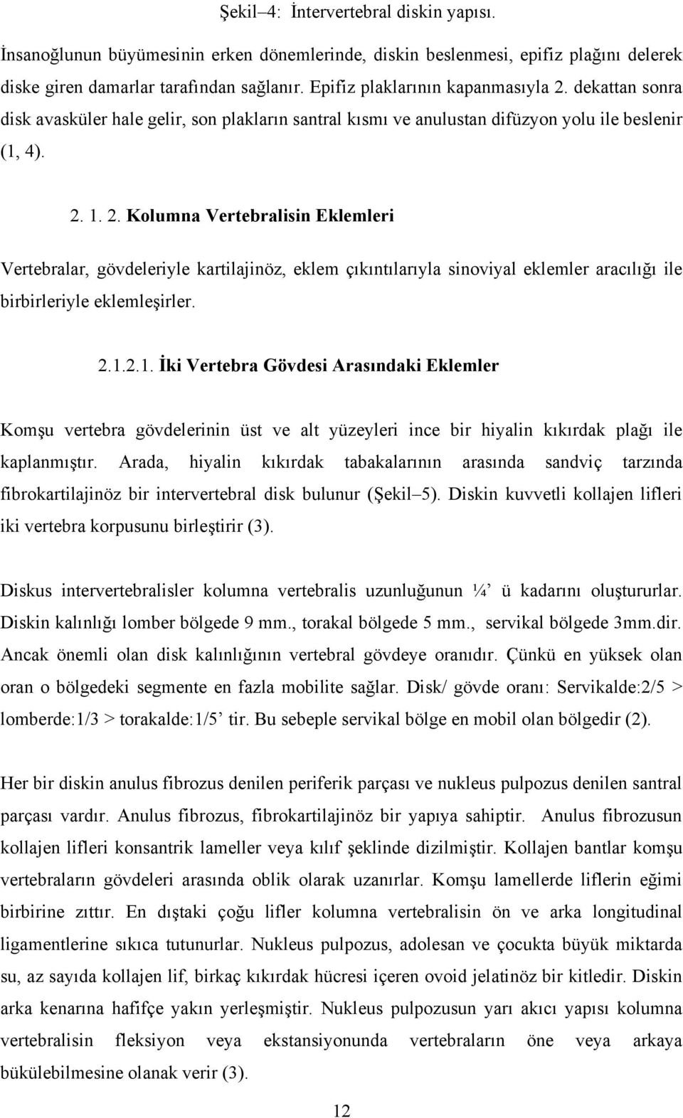 2.1.2.1. İki Vertebra Gövdesi Arasındaki Eklemler Komşu vertebra gövdelerinin üst ve alt yüzeyleri ince bir hiyalin kıkırdak plağı ile kaplanmıştır.